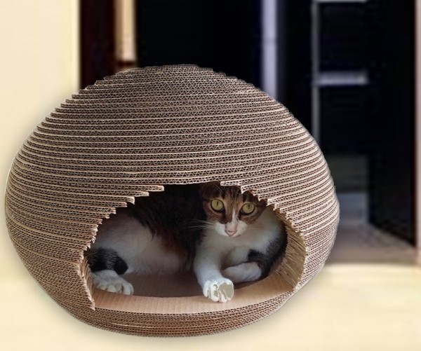 Frontsicht Katzen Höhle mit einem Beispiel