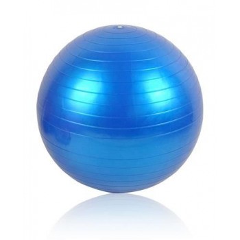 Frontsicht Gymnastikball 55cm mit Pumpe